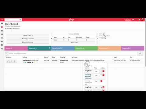 Dashboard Overview: Tabs