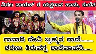 ಗಾನಾದಿ ದೇವಿ ಬ್ರಹ್ಮನ ರಾಣಿ|ಕಲ್ಲಡ್ಕ ವಿಠ್ಠಲ ನಾಯಕ್ ರ ಯಕ್ಷಗಾನ ಹಾಡು, ಕುಣಿತ|Kalladka Vitala Nayak comedy sho