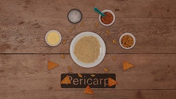 The Journey of Grains