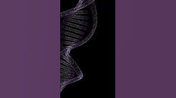GenomeMusic - Oryzias dancena mitochondrion