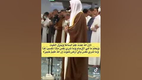 ما تیسر من سورة لقمان بصوت الشيخ هيثم الدخين