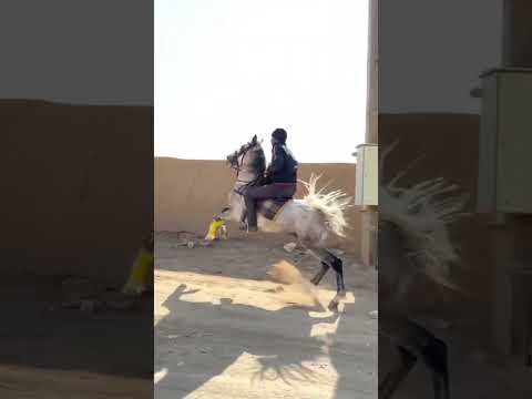 اصفهان بروید و با خود و خدایتان خلوت کنید و درکاری که به آن جاهلید و علم ندارید دخالت نکید