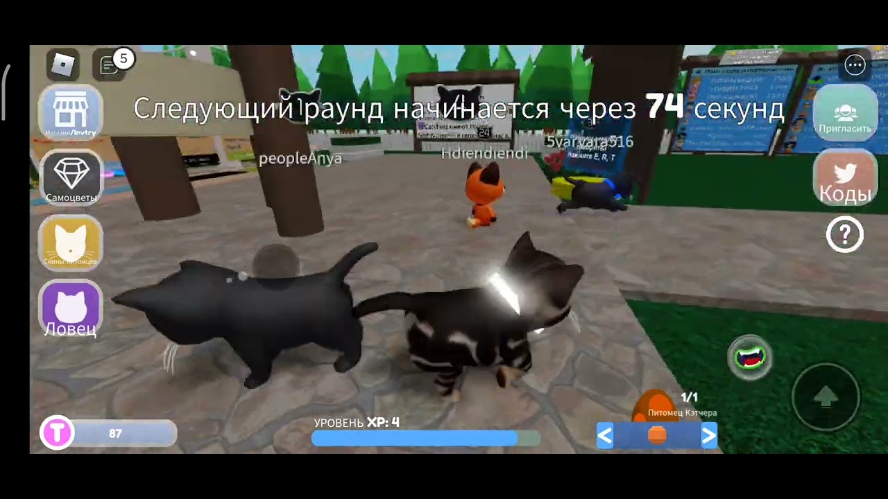 Pet catchers roblox codes