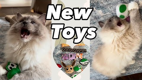 Cat goes wild for catnip toys!