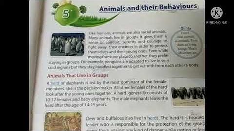 class 4 sub. evs ch. 5 animals and their behaviours book reading