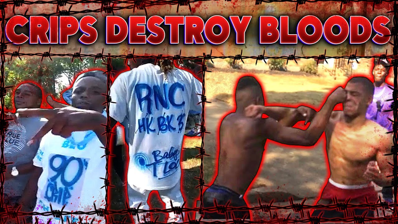 Crips v. Bloods Massacre In Tennessee Prison. YouTube