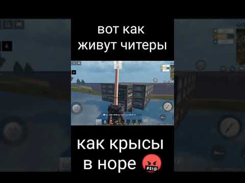 как живут читеры в ласт исланд #shorts