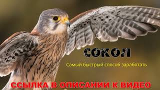 ✔ КАК ЗАРАБОТАТЬ ДЕНЬГИ БЫСТРО С НУЛЯ ЧЕРЕЗ ТЕЛЕФОН 🤑