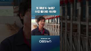또 해낸 K-농업? 수입  풀사료... &#39;이탈리안 라이그라스&#39; 국산화 성공  #이탈리안 #라이그라스 #국산화 #육질향상 #종자 #수입