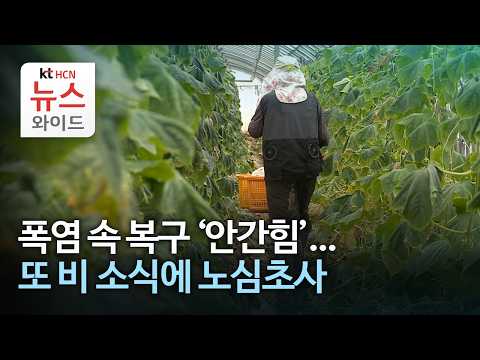 폭염 속 복구 '안간힘'...또 비 소식에 노심초사 /HCN충북방송