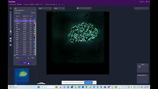 StereoMap Tutorial first-time walk through