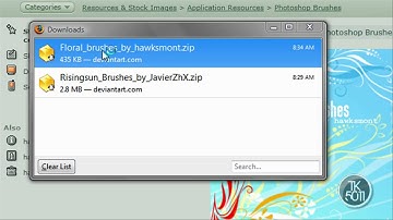 Adobe: how to install photoshop brushes (CS3)