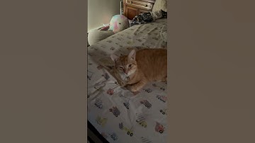 Random video from my camera roll part 1