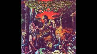 Jungle Rot - Butchering Death (HQ Sound + Lyrics in Description)