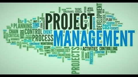 ERP Project Management and Cost Estimation