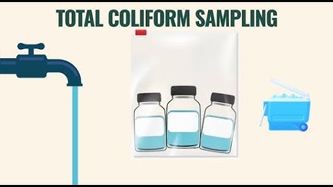 How to Sample for Total Coliform at a Public Water System