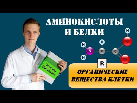 АМИНОКИСЛОТЫ и БЕЛКИ | Строение белков и аминокислот | ПЕПТИДНАЯ СВЯЗЬ | БИОХИМИЯ | БИОЛОГИЯ | ХИМИЯ