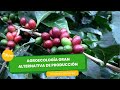 Agroecología gran alternativa de producción - TvAgro por Juan Gonzalo Angel Restrepo