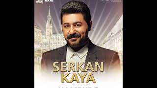 Serkan Kaya - Haybeden (Official Music) #serkankaya #trend #öneçıkar #trendingvideo #music