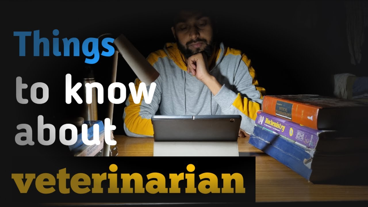 Veterinarian Job Scope