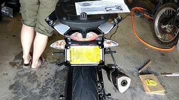 Custom Dynamics Quad LED plate frame