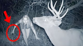 Graban Extraños Comportamientos Humanoides Y Animales Que Se Suponía Nadie Debería Ver Del Bosque