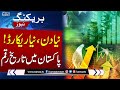 Record-Breaking Day for PSX as Market Touches 191,000 Points | Pakistan News | SAMAA TV
