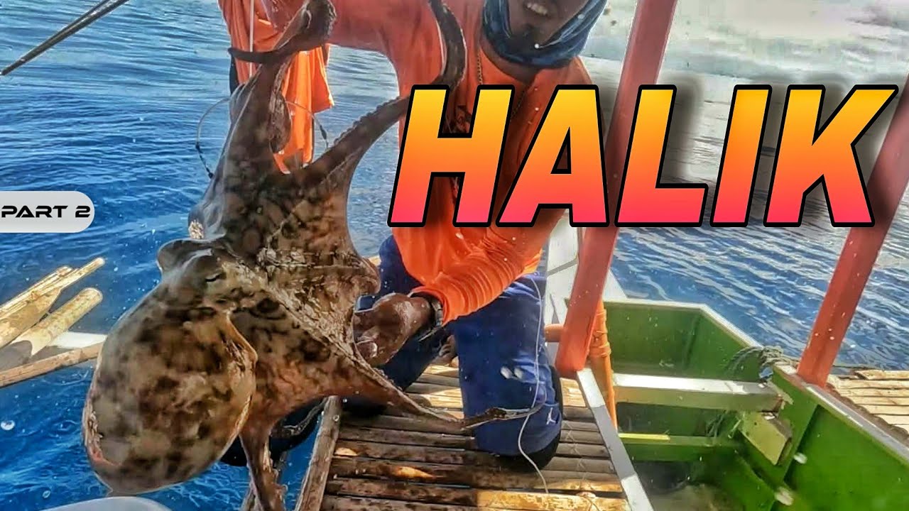 P2 - Halik ng Pugita