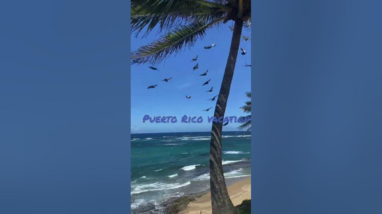 Puerto Rico , Isla del Encanto