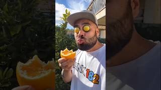 Want To Try My Oranges p13shorts