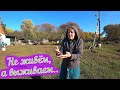 Деревня / Глотово / Глубинка России / Жизнь в деревне