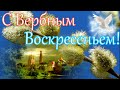 С Вербным Воскресеньем! Красивое поздравление с Вербным Воскресеньем!Открытка с Вербным Воскресеньем