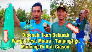Mancing Ikan Belanak di Muara Kali Ciasem - Warga Desa Muara Tanjungtiga Ramai-Ramai Mancing