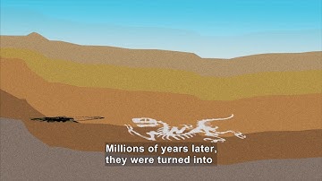 Science Video Vocab: Fossil Fuel (Accessible Preview)