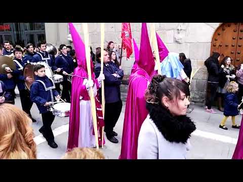 Procesión de la Real Cofradía de Jesús en su Entrada Triunfal en Jerusalén