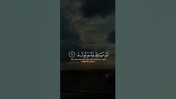 سوره الإخلاص 🌿🤍 || راحه نفسيه🥰 ||#قران_كريم 👉❤