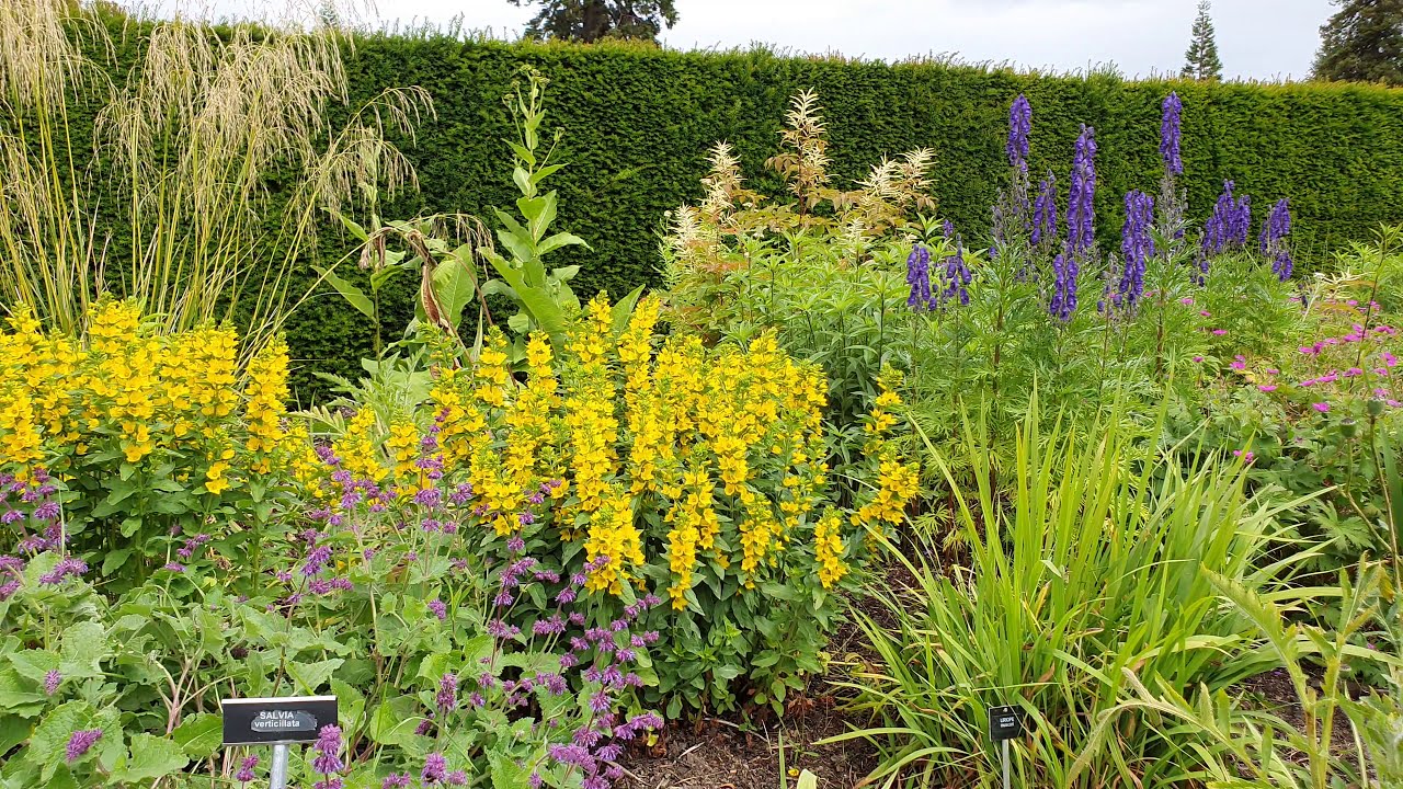 Powerscourt's garden flowers in Ireland YouTube