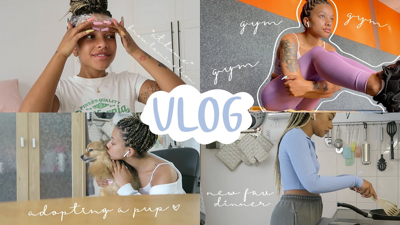 VLOG: at home brow lamination, adopting a puppy, new fav dinner..