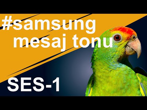 Samsung Mesaj Tonu Sesi - Papağanını Konuştur 1