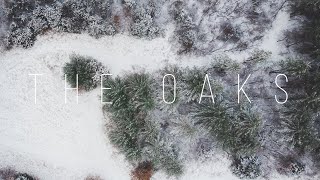 The Oaks | Cinematic Diary/Channel Update Sony a6500 + DJI Mavic Air