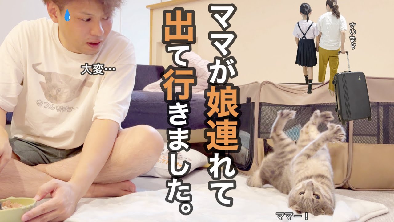 お願い…帰ってきて！！猫30匹のお世話をパパ1人で大パニック。