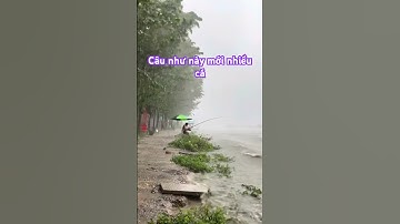 Thanh niên câu cá giữa trời mưa bão #reels #funny #viral #shorts #fishing #amazing