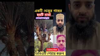 একটি খেজুর গাছের ছয়টি মাথা mijanur rahman azhari #shorts #trending #islamicvideo