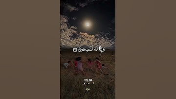 قالوا يا أبانا .. سورة يوسف .. محمد احمد شبيب .. #قران #تلاوة #مصر  #quran