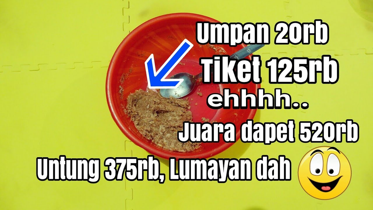 Umpan Ikan Mas MURAH..tes di lomba mancing lansung juara