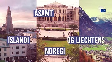 EES: 25 ár af samstarfi og tækifærum