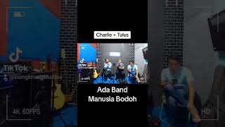 Charlie + Tulus Ada Band Manusia Bodoh #adaband #manusiabodoh #fypシ #fypシ゚viralシ #trend #trending