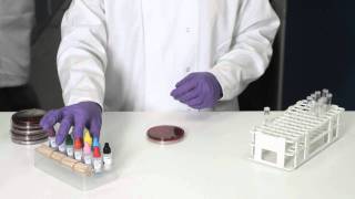 PathoDxtra Dan Broom Scientific Work .mov