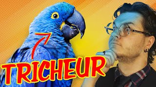 Pourquoi il n'y a pas de bleu dans la nature ?