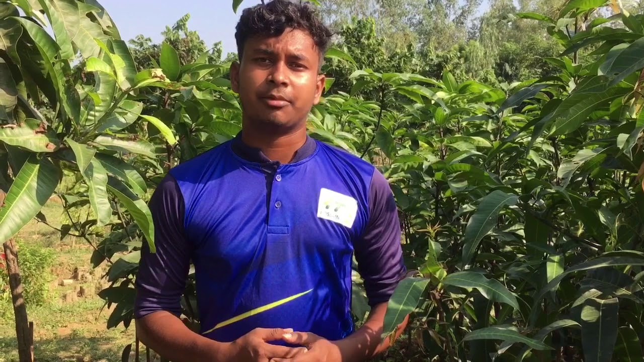 Online nursery YouTube